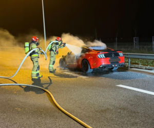 Mustang stanął w płomieniach na S3. Akcja strażaków na Dolnym Śląsku