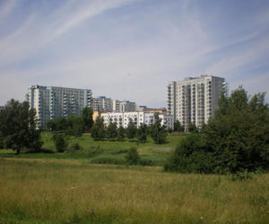 Warszawski Służew