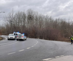 Umarł na środku drogi 