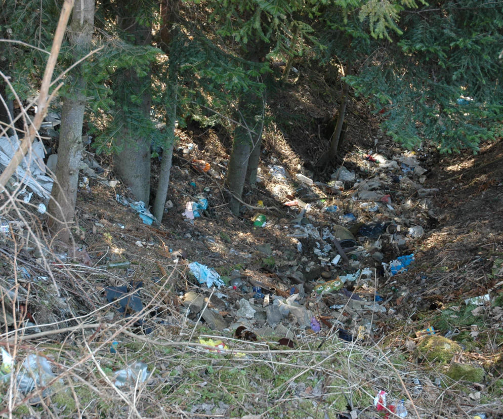 Zadeklarowałeś wywóz śmieci? Kontrole ruszyły. Grozi nawet więzienie