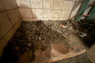 Interwencja w Łochowie. Zwierzęta trafiły pod opiekę schroniska i fundacji