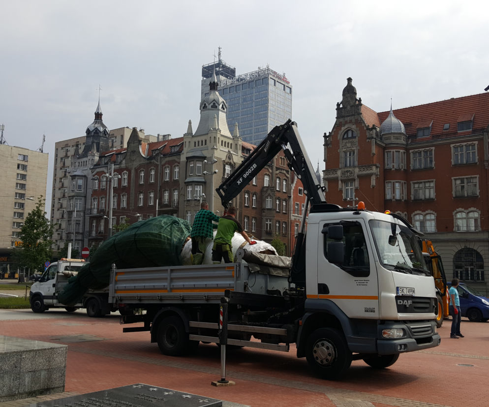 Palmy wróciły na rynek w Katowicach