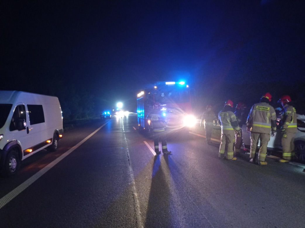 Poseł PiS uległ strasznemu wypadkowi! W jego auto uderzył łoś