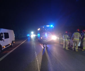 Poseł PiS uległ strasznemu wypadkowi! W jego auto uderzył łoś