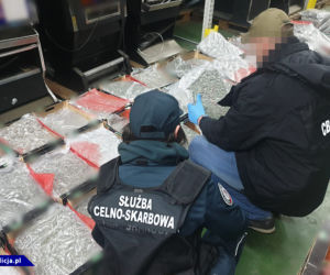 Narkotyki przewożone z Hiszpanii w pomarańczach! Akcja CBŚ pod Bełchatowem