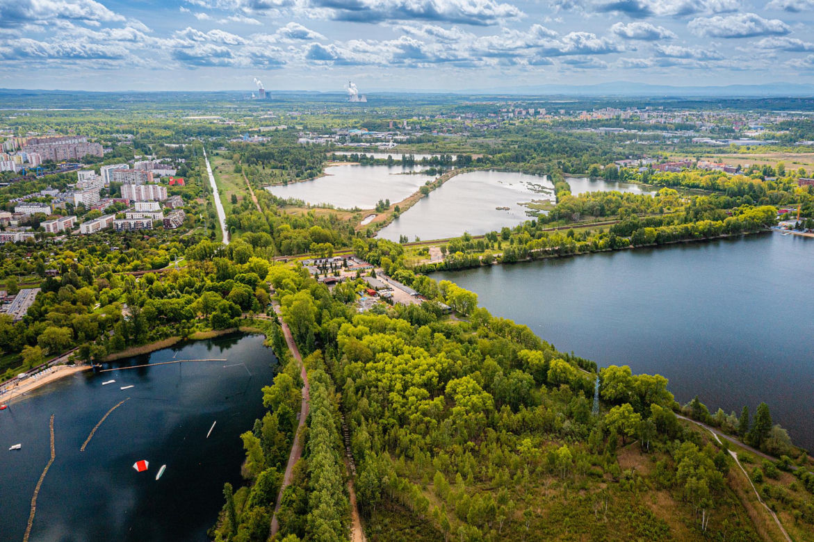 2. Katowice - 6584 ha lasów