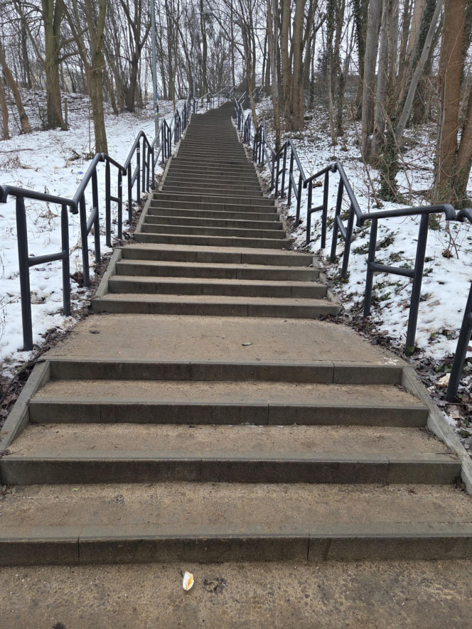 Schody do nieba w Bydgoszczy. Ponad 150 stopni, by dostać się na Wzgórze Wolności