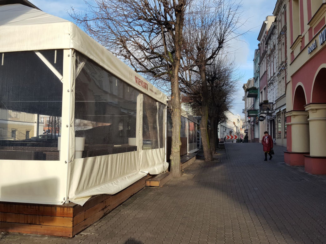 Drzewa na Rynku w Lesznie pod fachową opieką