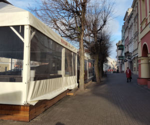 Drzewa na Rynku w Lesznie pod fachową opieką