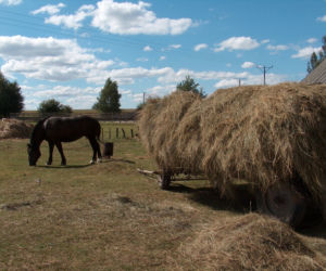 Siano i słoma