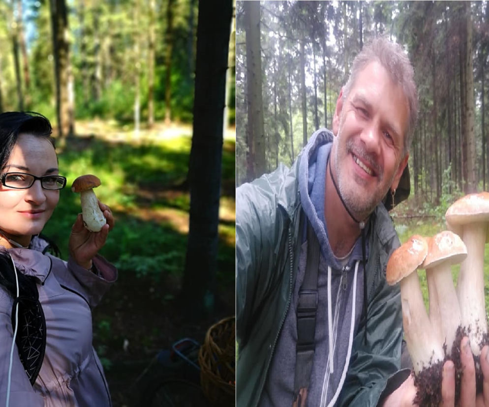 Królowa i król starachowickich lasów. Lokalne lasy sypnęły grzybami