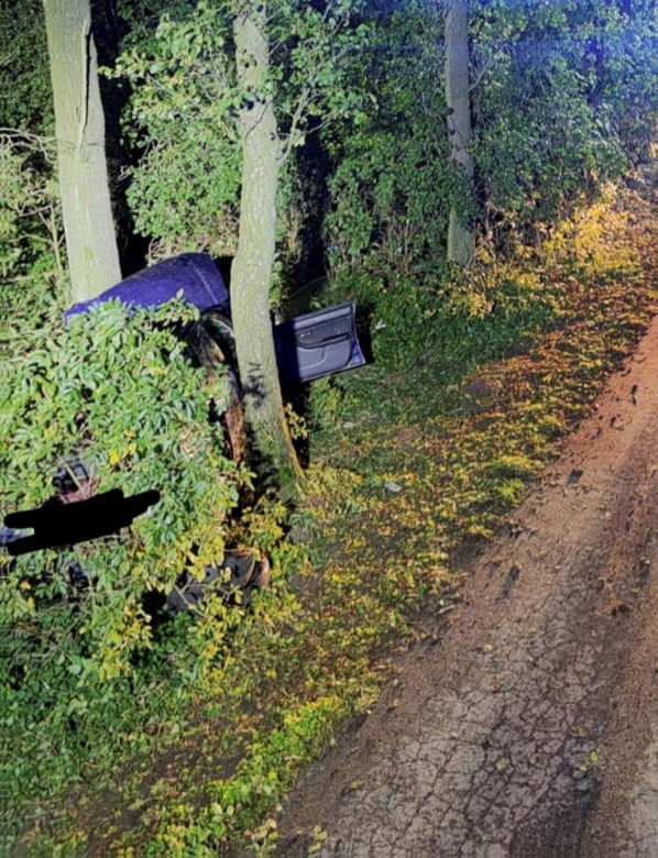 Śmiertelny wypadek pod Zgierzem. Audi z trzema osoba rozbiło się o drzewo [ZDJĘCIA].