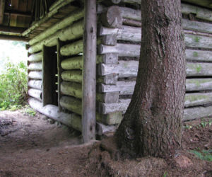 To jedna z najpiękniejszych wsi na Podhalu. Według legendy jej pierwszym sołtysem był słynny zbójnik