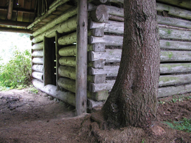 To jedna z najpiękniejszych wsi na Podhalu. Według legendy jej pierwszym sołtysem był słynny zbójnik