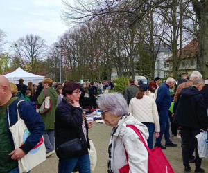 Pchli targ na Pogodnie