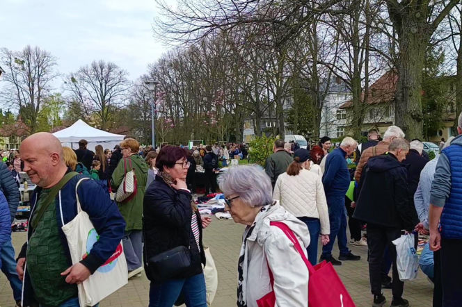 Pchli targ na Pogodnie