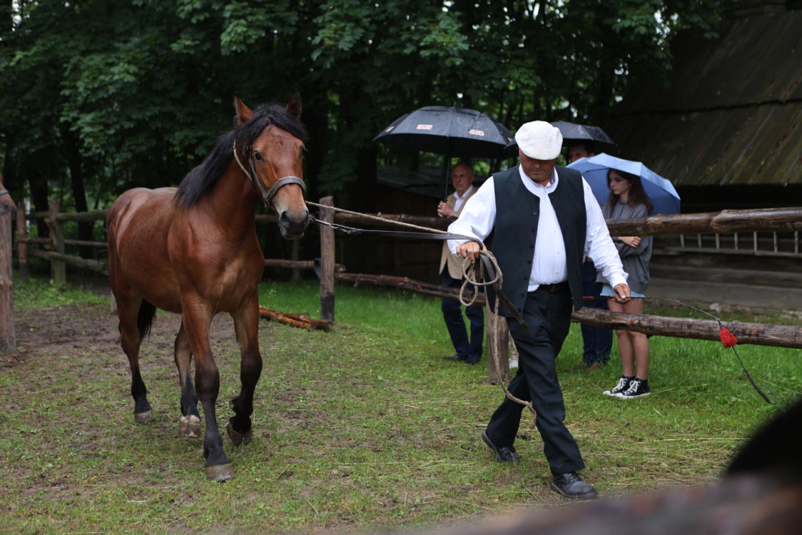 Jarmark koński w Muzeum Wsi Lubelskiej