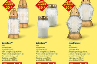 Znicze i chryzantemy w promocji w Lidlu przed 1 listopada 2026