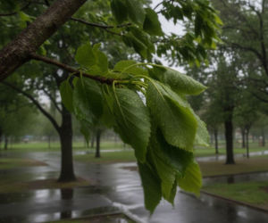 To może pokrzyżować weekendowe plany w Bydgoszczy. Pogoda będzie psuć się z dnia na dzień