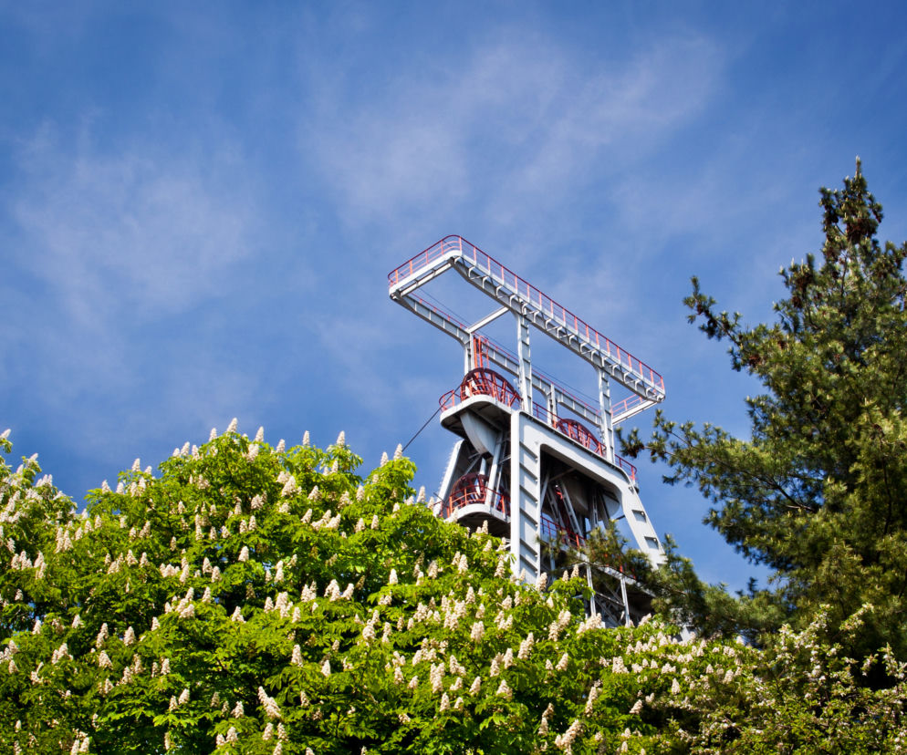 Kopalnia Knurów-Szczygłowice