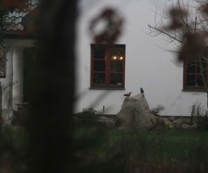 Prezydent wraca do życia na działce 