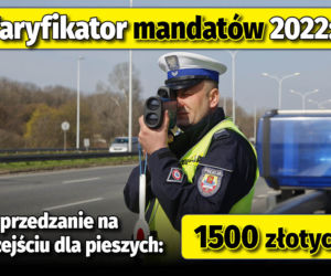 Taryfikator mandatów 2022 