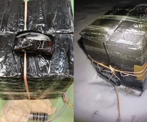 Nowy sposób przemytu na granicy z Białorusią. Kolejne zatrzymania