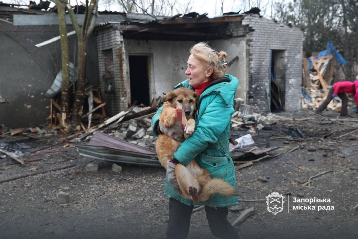 Atak na schronisko dla zwierząt Zaporoże