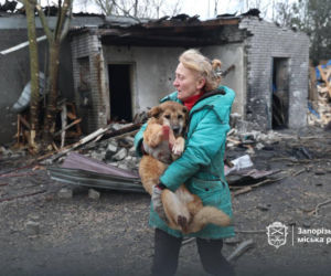 Atak na schronisko dla zwierząt Zaporoże