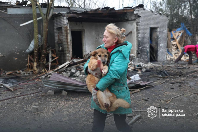Atak na schronisko dla zwierząt Zaporoże