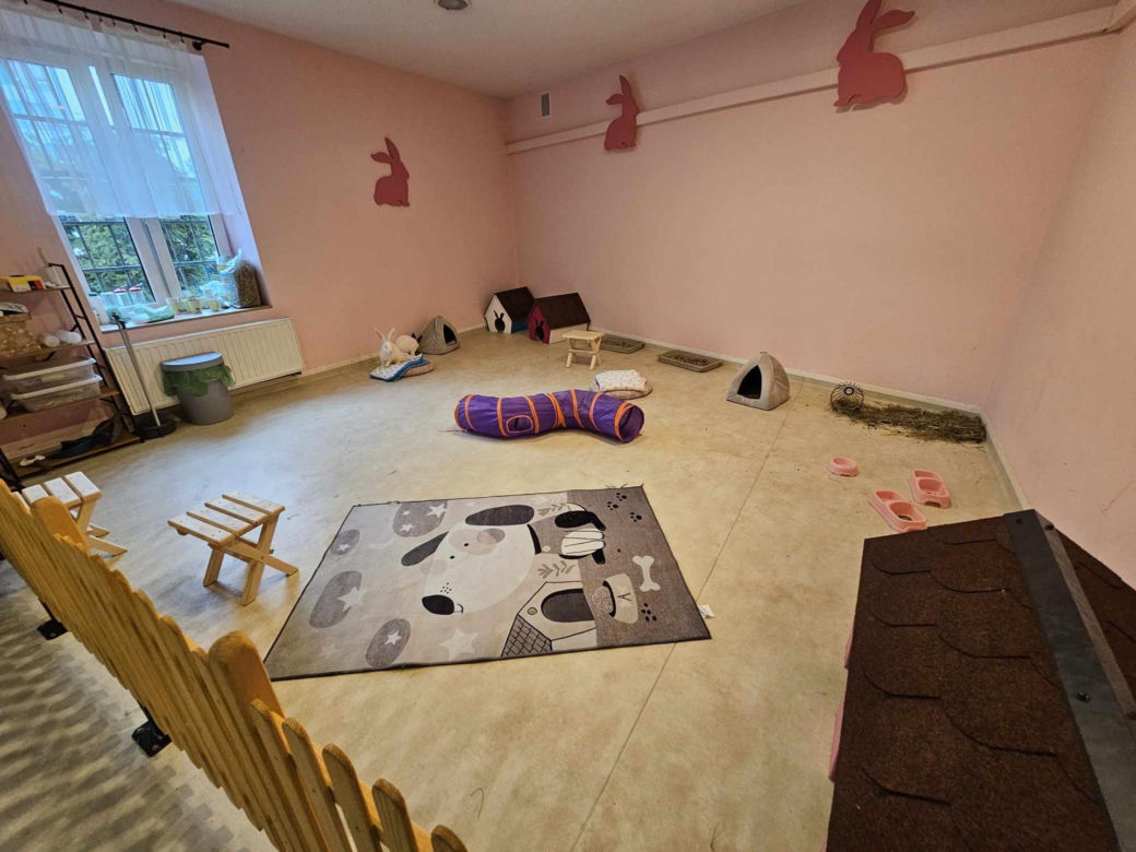 Królicza Kawiarnia jedyne takie miejsce na Podkarpaciu