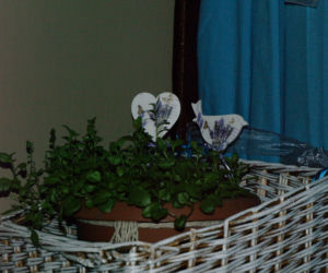 BALKON 2014 zdjecie nr 20