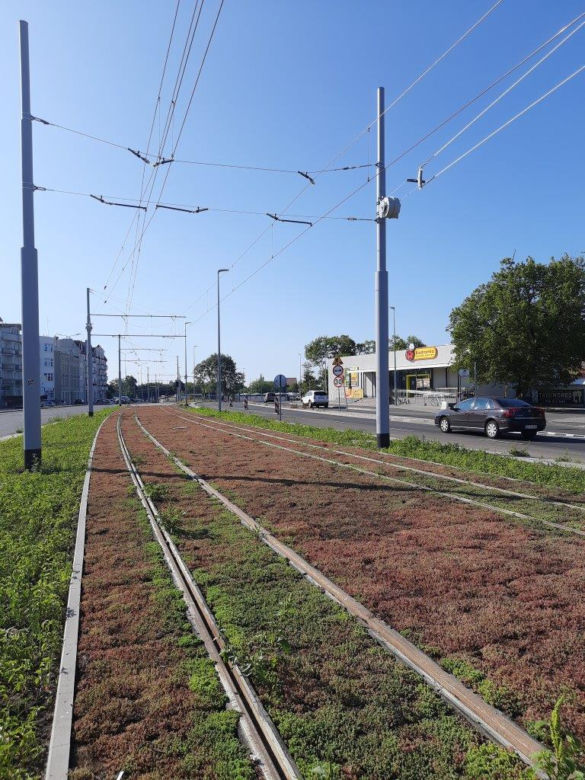 Jedna z najważniejszych inwestycji Torunia na finiszu. Zobaczcie zdjęcia z projektu BiT-City II