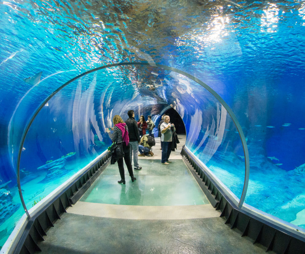 Na śląsku powstanie oceanarium