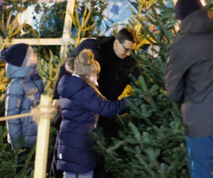 Premier Mateusz Morawiecki kupuje choinkę na święta. 
