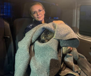 Nietypowa interwencja policjantów z Góry. Pomogli bobrowi 