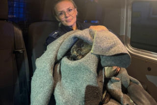 Nietypowa interwencja policjantów z Góry. Pomogli bobrowi 