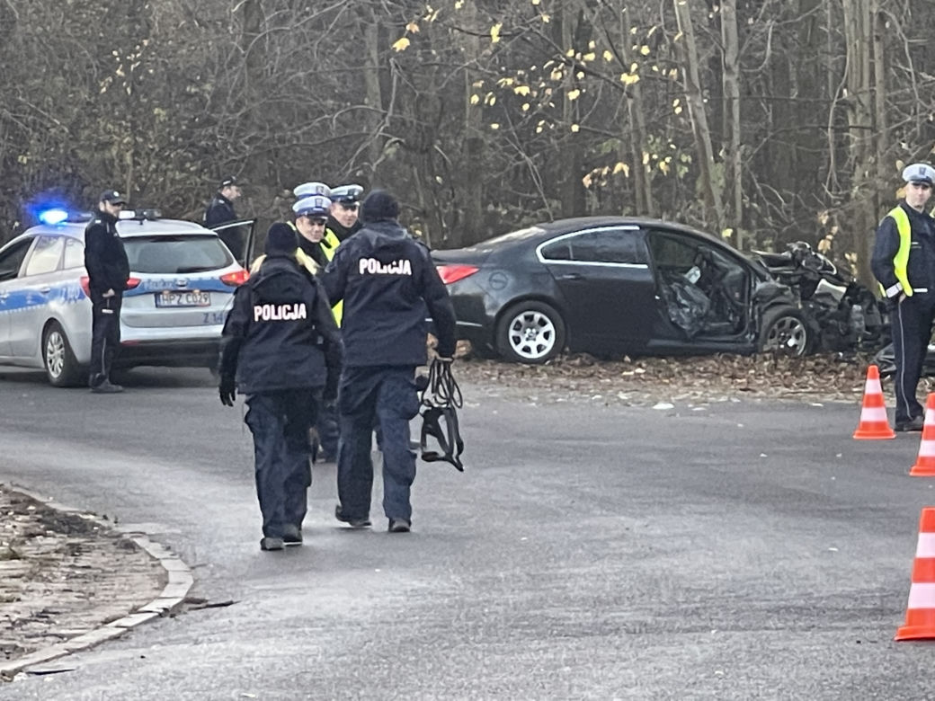 Auto rozwalone o drzewo. Nie żyje pasażerka, kierowca zwiał