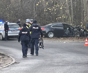 Auto rozwalone o drzewo. Nie żyje pasażerka, kierowca zwiał
