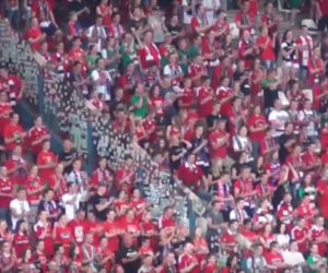 Wisła Kraków - Śląsk Wrocław