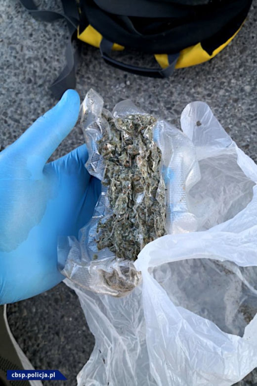 CBŚP rozbiło gang: zlikwidowało laboratoria, plantacje marihuany, skonfiskowało blisko 80 kg amfetaminy, przejęło nieruchomości, samochody, pieniądze.