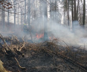 Pożar lasu pod Olsztynem. Gdyby nie szybka reakcja ratownicza, straty byłyby ogromne [FOTO]