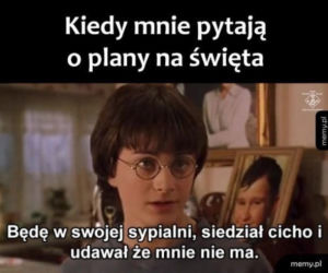 Święta Bożego Narodzenia. Te MEMY przed świętami rozbawią Was do łez! [MEMY]