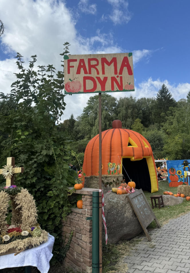 Dyniowe szaleństwo w Lublinie! Tysiące dyń i atrakcje dla całych rodzin ?