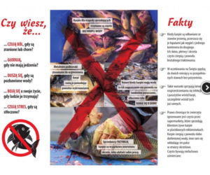 Bełchatów: Obrońcy zwierząt z akcją w markecie! 