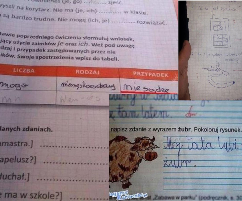 Hity ze sprawdzianów i kartkówek. Te odpowiedzi uczniów bawią do łez! [GALERIA]
