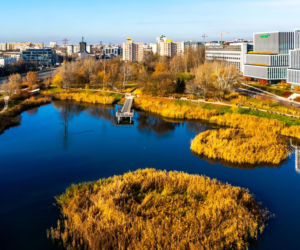 Pętla tramwajowa Wyścigi w Warszawie i okolice