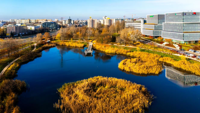 Pętla tramwajowa Wyścigi w Warszawie i okolice
