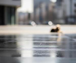 Pies Boro odnaleziony po katastrofie w Hiszpanii. Czy wszystkie historie mają szczęśliwe zakończenie?