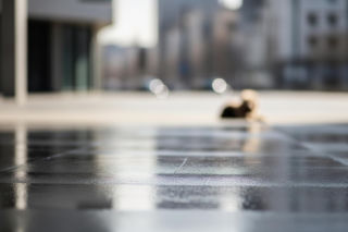 Pies Boro odnaleziony po katastrofie w Hiszpanii. Czy wszystkie historie mają szczęśliwe zakończenie?